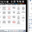 포미비룡태권도장 이미지