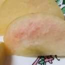 이언농장 이미지