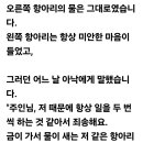 금간 물 항아리 이미지