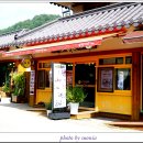 달빛미소 이미지