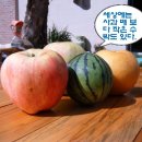 숲속나라 어린이집 이미지