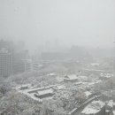마리아케이글로벌 이미지
