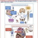 J Man’s Motors | 협심증 Angina Pectoris: 가슴이 조여 왔던 10분, 인류는 250년을 걸려 그 이유를 알았습니다