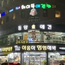 헤이독 | 대전 헤이독 중앙로 애견카페 내돈내산 솔직 방문 후기