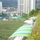 임호체육공원 축구장 이미지