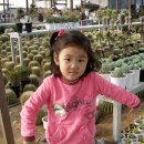 천사농장 이미지