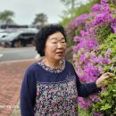 남해-177 이미지