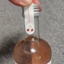 경주 체리 이미지