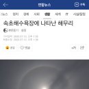 계곡 프리다이빙 / 백담계곡 금강소, 해무리 포착 하루 주차비 샤워비 포함 1만원