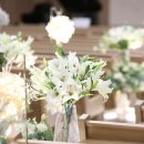 샬롬장식 이미지