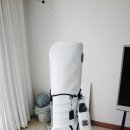 지포어신세계백화점대전 | G/FORE 지포어 골프백 / 여자 캐디백 / 스탠드백 ( 에센셜 써클G's백 )