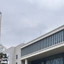 수원 컨벤션센터 2025 관상어 파충류 박람회 후기 | feat. 새 식구 크레스티드 게코