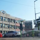 영월초등학교 이미지