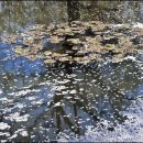 벚꽃마루 이미지