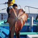 서진낚시 이미지