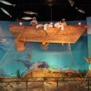 섬진칼국수 이미지