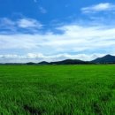 이세벨(Jezebel) 네이버블로그
