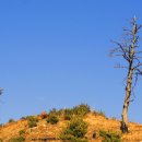 삼산1리 이미지