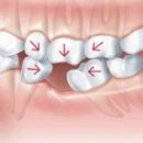 본정치과의원 이미지
