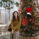 아이콘PC카페 | 세잔 니트 핀터레스트 코디 SEZANE 여자 가디건 해외 직구 후기