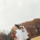 연정목장 이미지