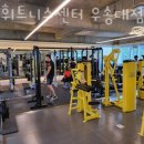 DS휘트니스 우송대점 이미지