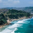 동해바다 이미지