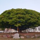 대구면사무소 이미지