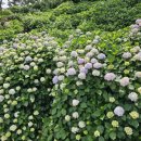 거제도해수보양온천 이미지