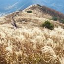 동화마을 생태공원1 이미지