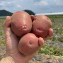 감자 - 해운대구 해운대로570번길 25 | 감자