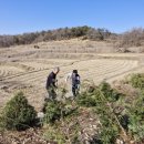 금송목장 이미지