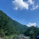 그리네펜션