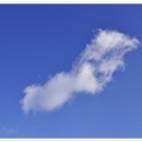 태백산가는길 이미지