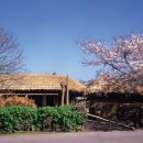 추억이머무르는곳 이미지