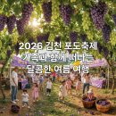 지에스25김천문화점 | 김천 포도축제