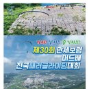 제30회 만세보령 머드배 전국 패러글라이딩대회 이미지