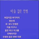 " 아무것도 아닌 것 " 이미지