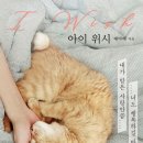 위시아이