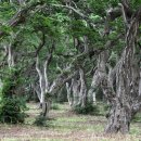 바다다방 이미지