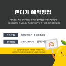 망고카서비스 이미지