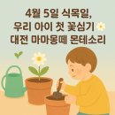 4월 5일 식목일, 우리 아이 첫 꽃심기🌼 대전 마마몽떼 몬테소리 후기