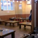 장수갈매기 이미지