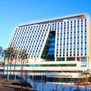 한국정보화진흥원 이미지