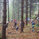 포도향이흐르는마을 이미지