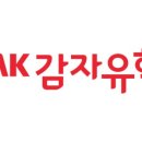 킹스캠프유학원