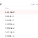 서성파라토피아 이미지