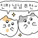 방어진순환도로L 이미지