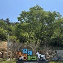 143 | 김해 신상 댕댕파크 강아지 놀이터 입장방법 방문후기