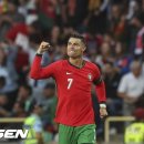 로베르토폼 이미지